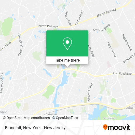 Blondinit map