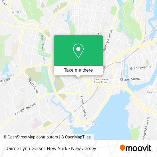 Jaime Lynn Geisel map