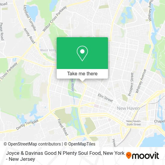 Joyce & Davinas Good N Plenty Soul Food map