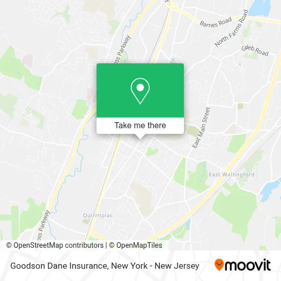 Goodson Dane Insurance map