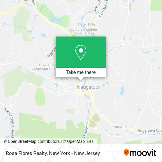 Rosa Flores Realty map
