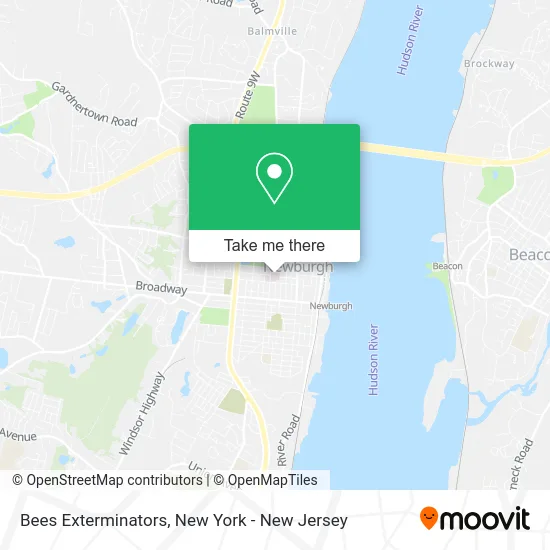 Bees Exterminators map