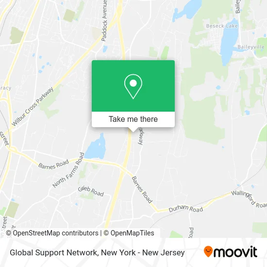 Global Support Network map
