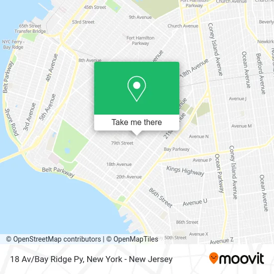 18 Av/Bay Ridge Py map