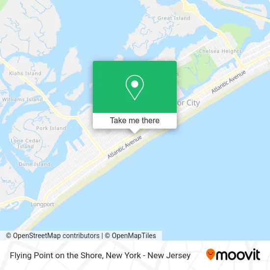 Mapa de Flying Point on the Shore