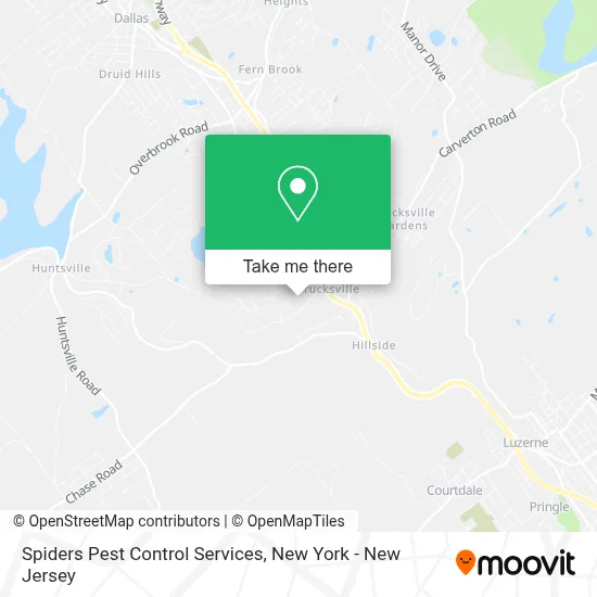 Spiders Pest Control Services map