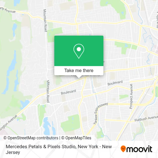 Mercedes Petals & Pixels Studio map