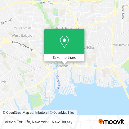 Vision For Life map