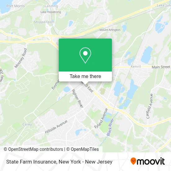 State Farm Insurance map