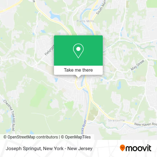 Joseph Springut map
