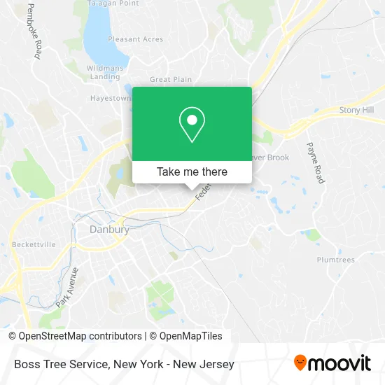 Boss Tree Service map