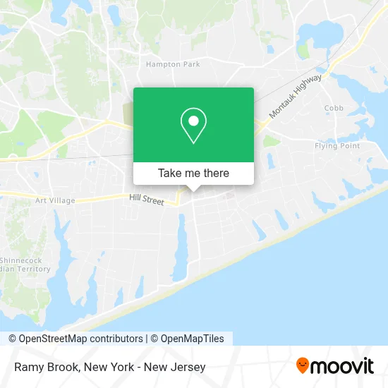 Ramy Brook map