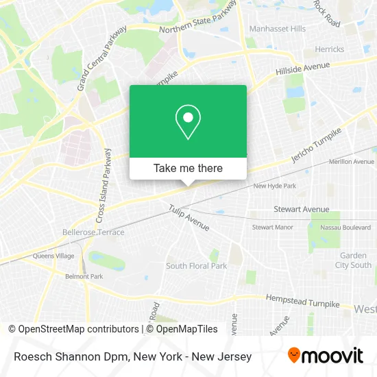 Roesch Shannon Dpm map