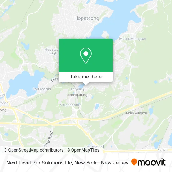 Next Level Pro Solutions Llc map