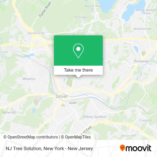 NJ Tree Solution map
