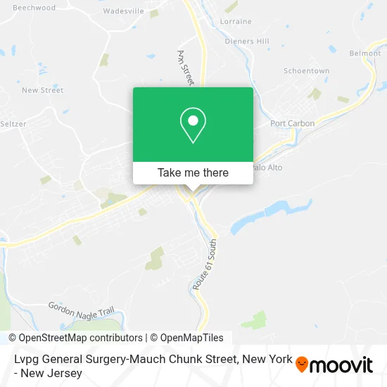 Lvpg General Surgery-Mauch Chunk Street map