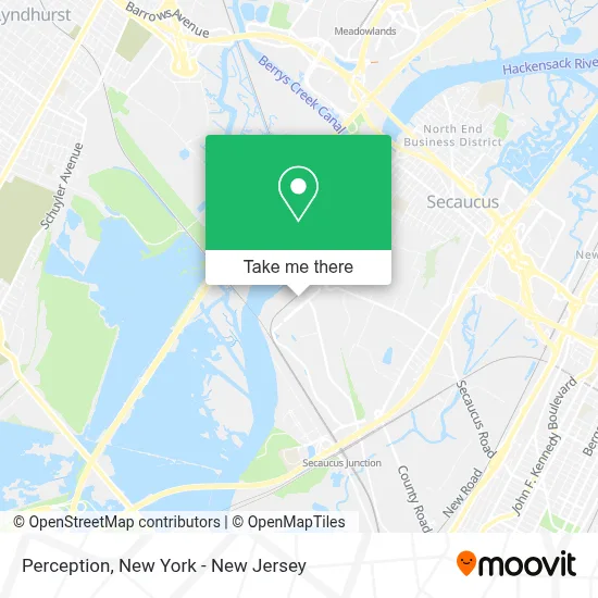 Perception map