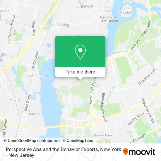 Perspective Aba and the Behavior Experts map