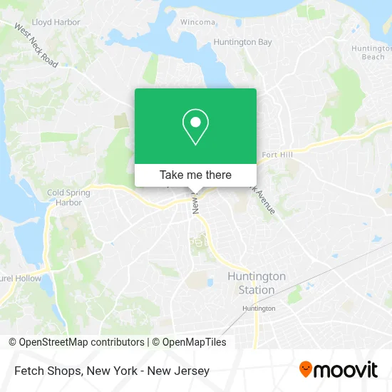 Fetch Shops map