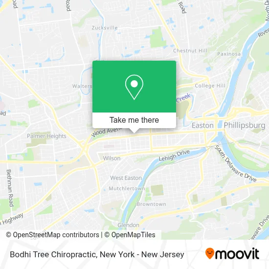 Bodhi Tree Chiropractic map