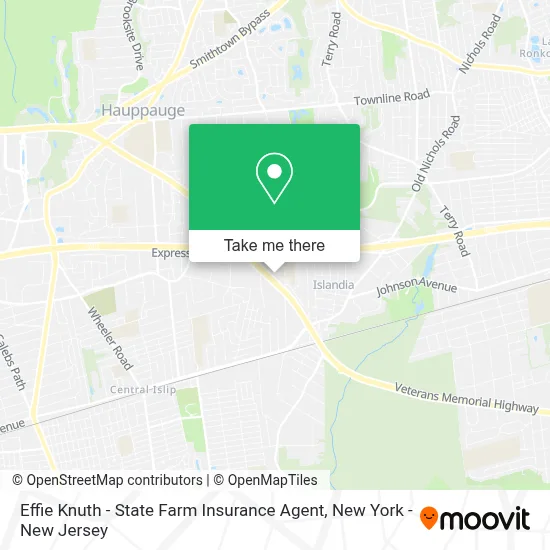 Effie Knuth - State Farm Insurance Agent map