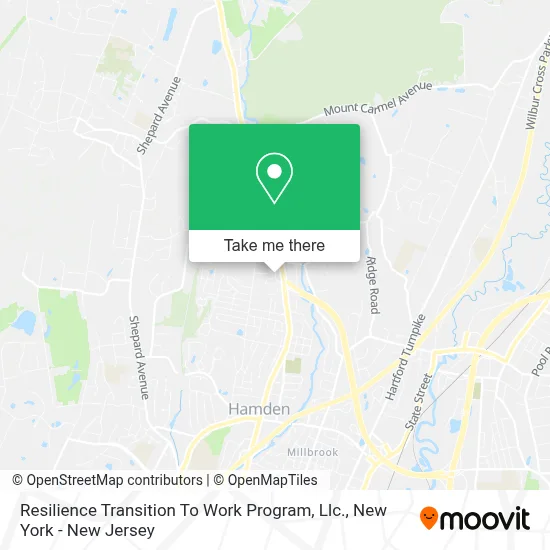 Resilience Transition To Work Program, Llc. map
