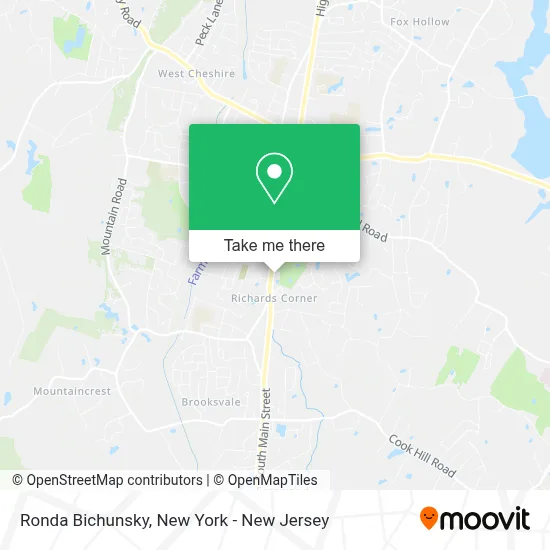 Ronda Bichunsky map