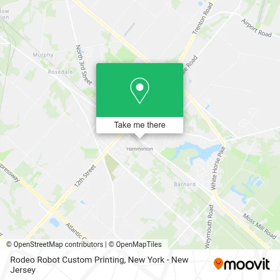 Rodeo Robot Custom Printing map