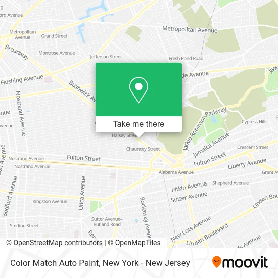 Color Match Auto Paint map