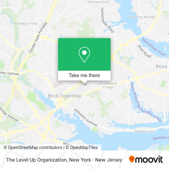 The Level Up Organization map