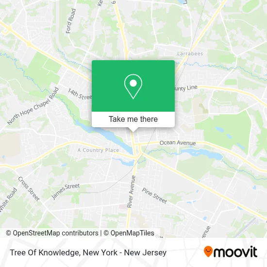 Tree Of Knowledge map