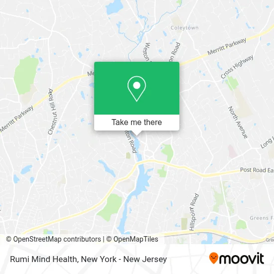Rumi Mind Health map