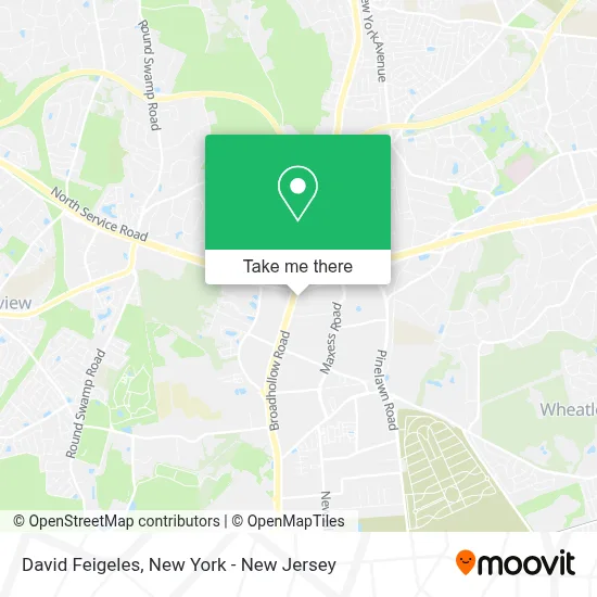David Feigeles map