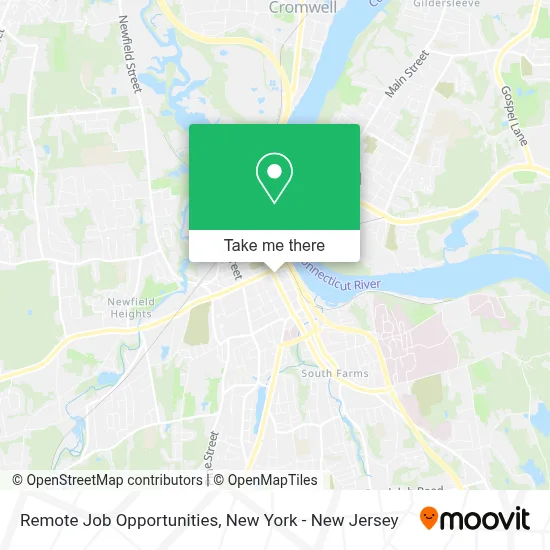 Remote Job Opportunities map