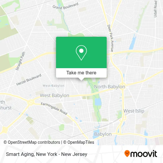 Smart Aging map