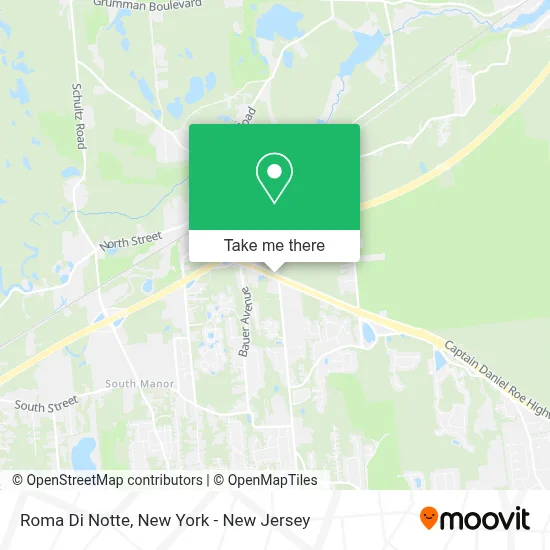 Roma Di Notte map