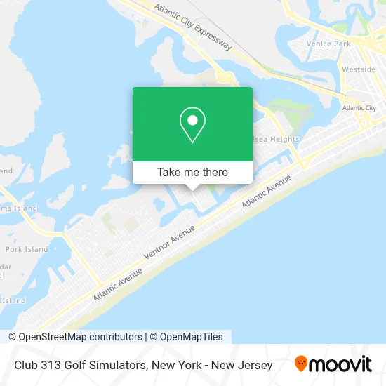 Club 313 Golf Simulators map