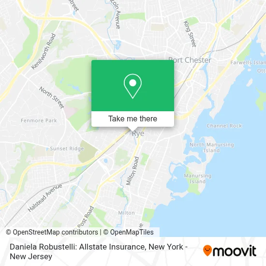 Daniela Robustelli: Allstate Insurance map
