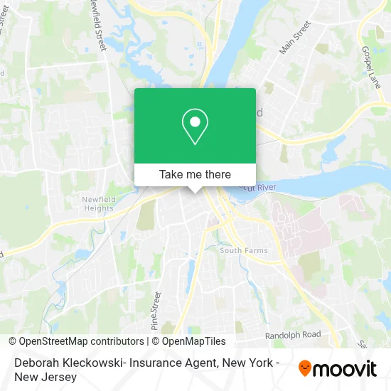 Deborah Kleckowski- Insurance Agent map