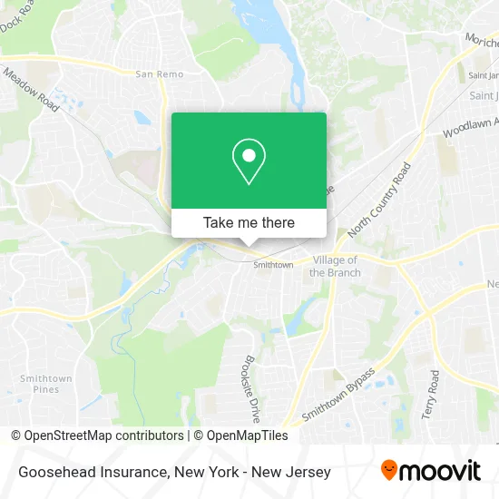 Goosehead Insurance map