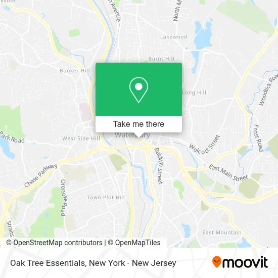 Oak Tree Essentials map