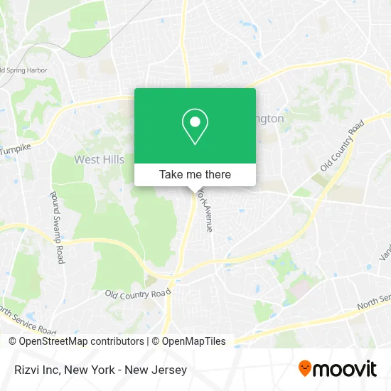 Rizvi Inc map