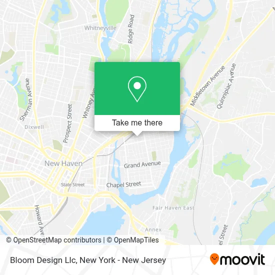 Bloom Design Llc map