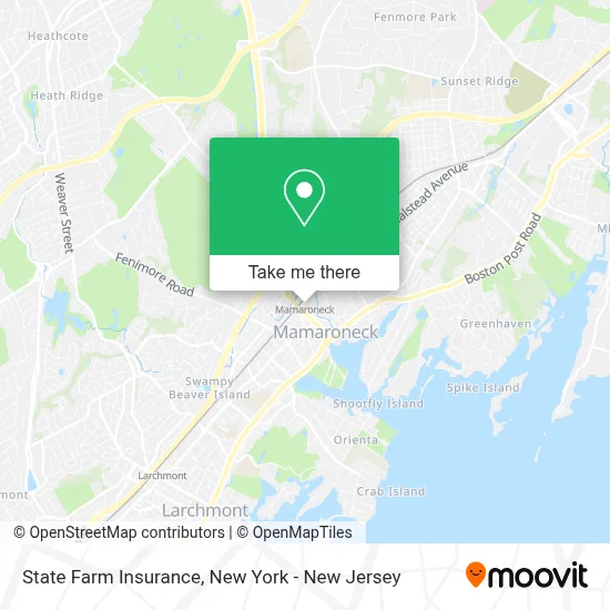 State Farm Insurance map