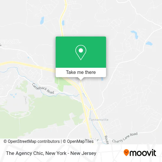 The Agency Chic map