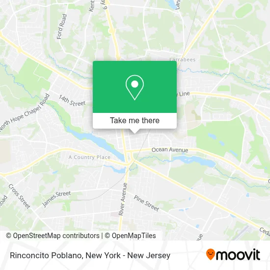 Rinconcito Poblano map