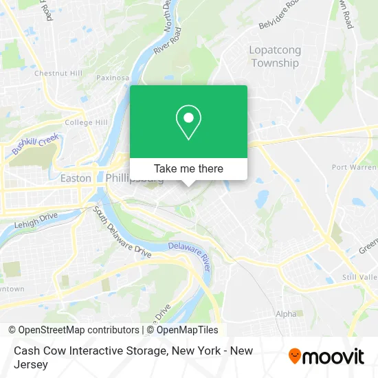 Cash Cow Interactive Storage map