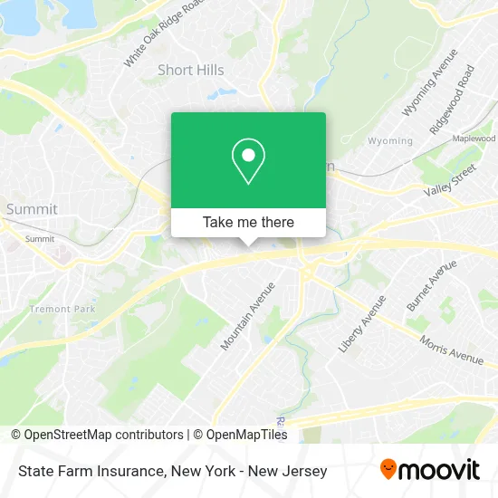 State Farm Insurance map