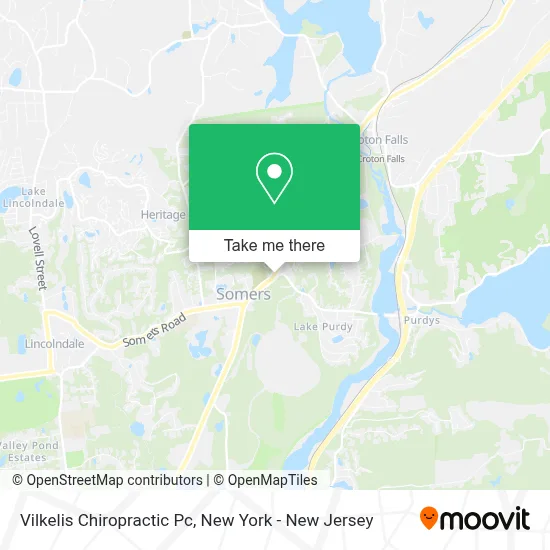 Vilkelis Chiropractic Pc map