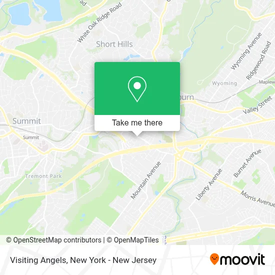 Visiting Angels map